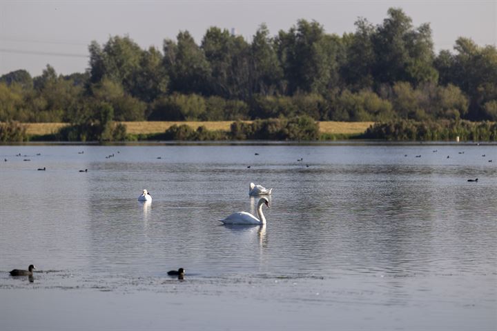 Bekijk foto 4 van Wevelsweg 9