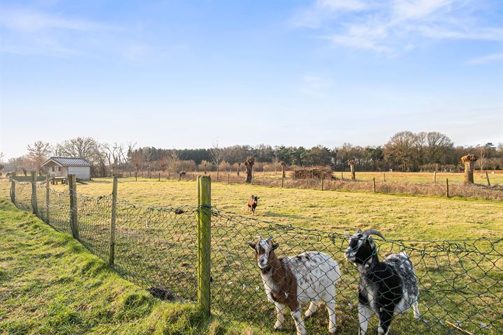 Bekijk foto 46 van Haakakker 21-A