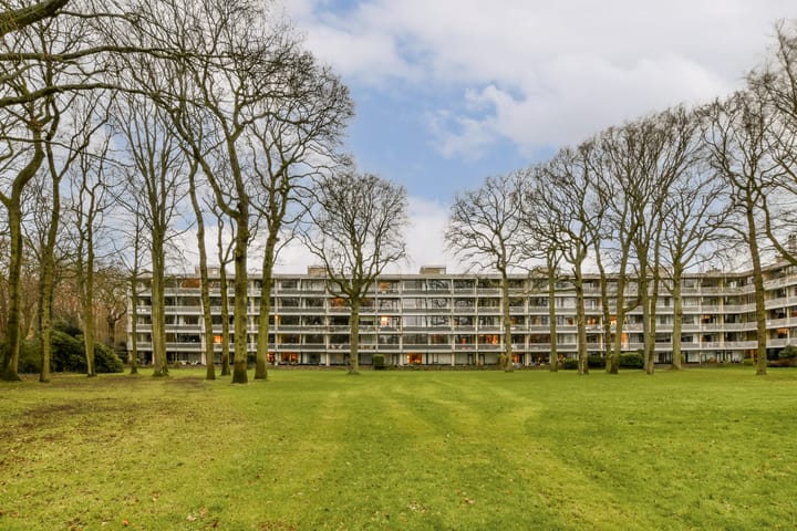 Foto 1 van Stoeplaan 11-F40