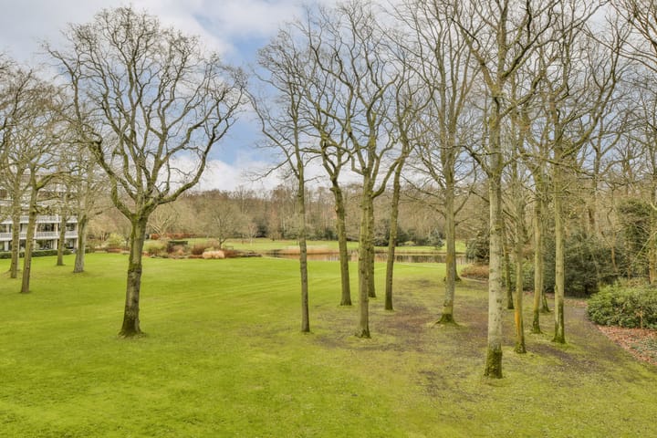 Foto 6 van Stoeplaan 11-F40