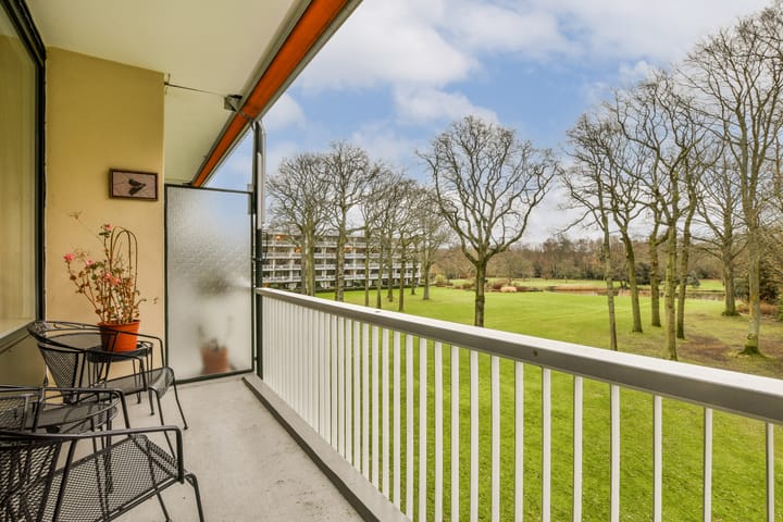 Foto 7 van Stoeplaan 11-F40