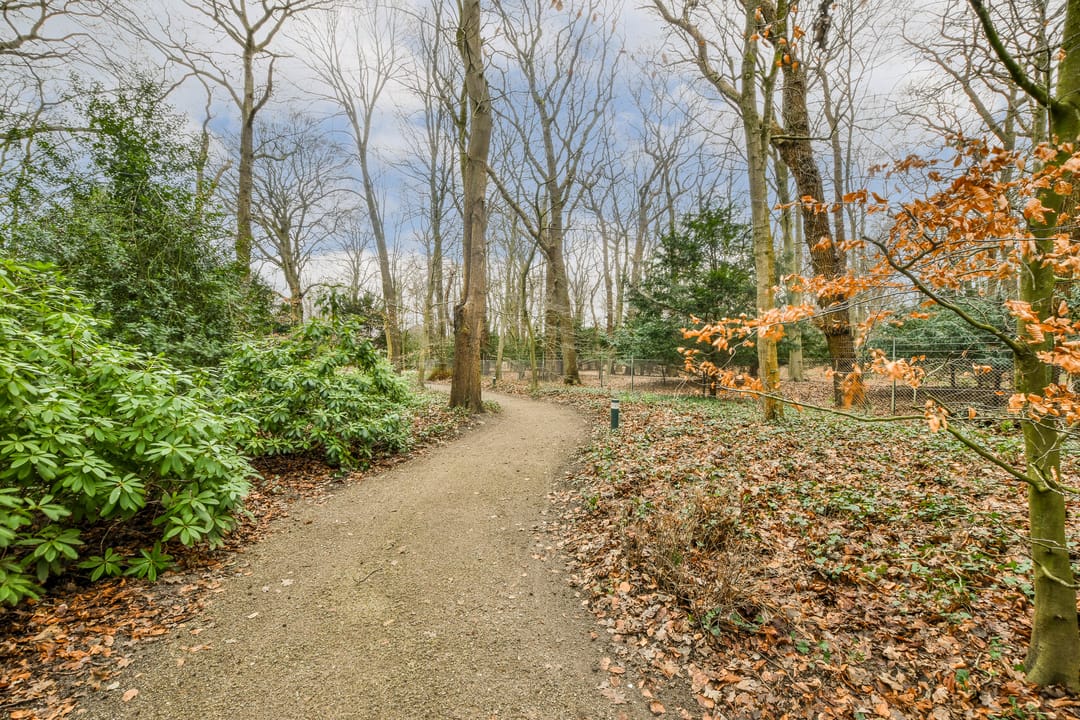 Foto 17 van Stoeplaan 11-F40