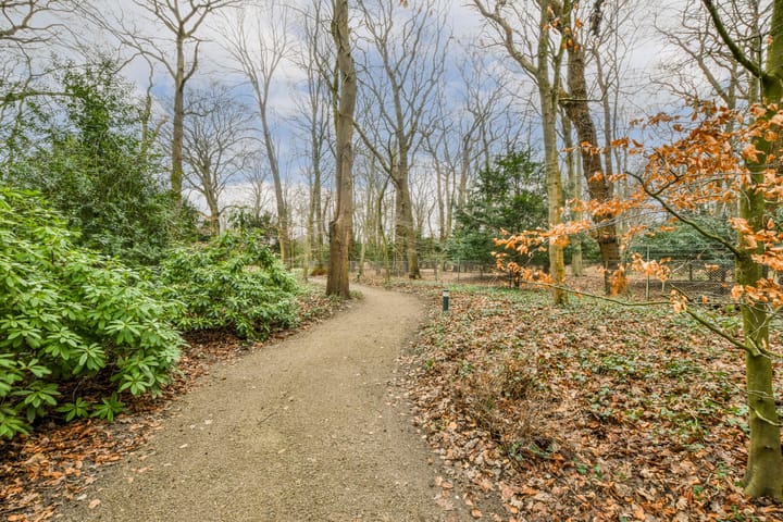 Foto 17 van Stoeplaan 11-F40