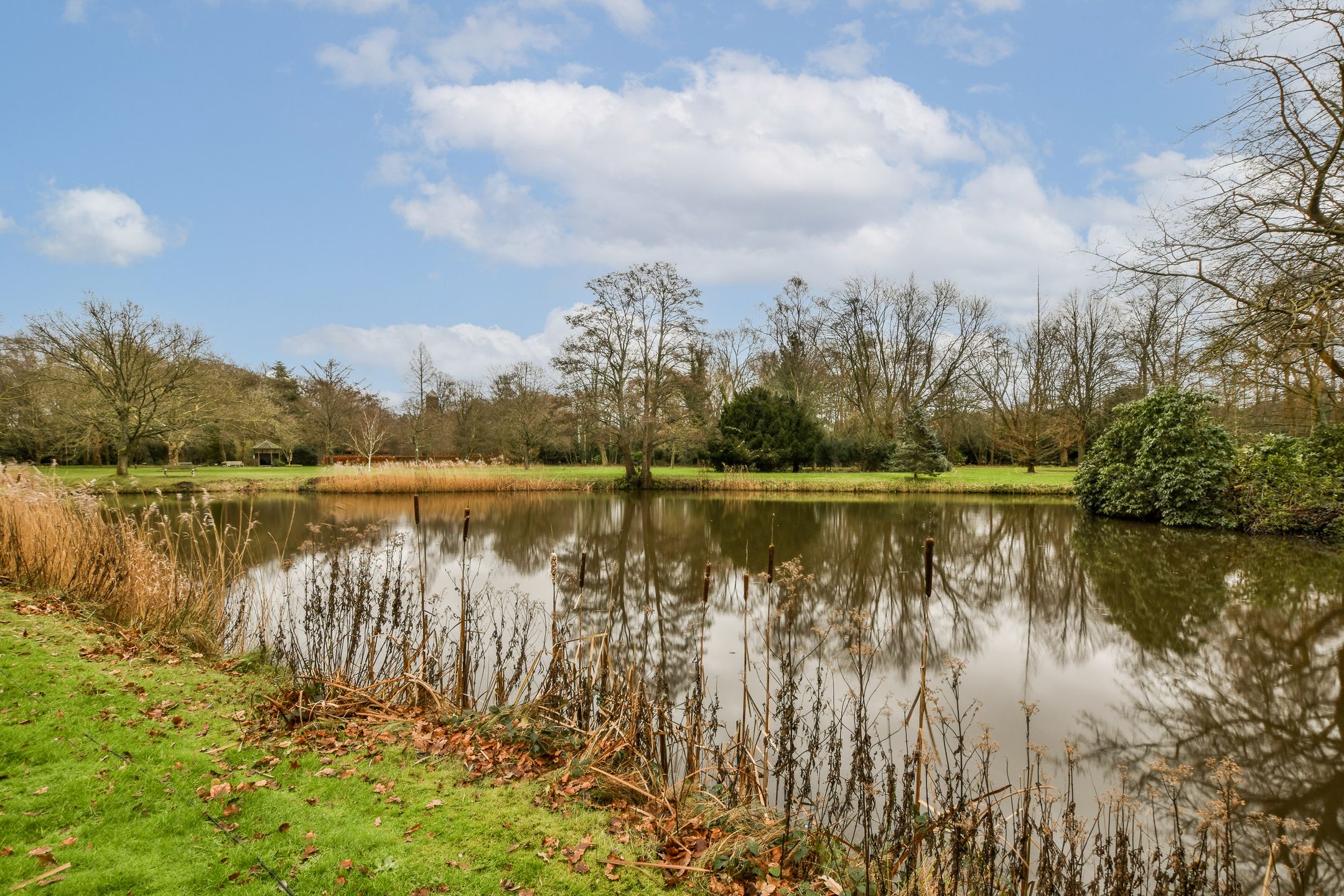 Foto 18 van Stoeplaan 11-F40