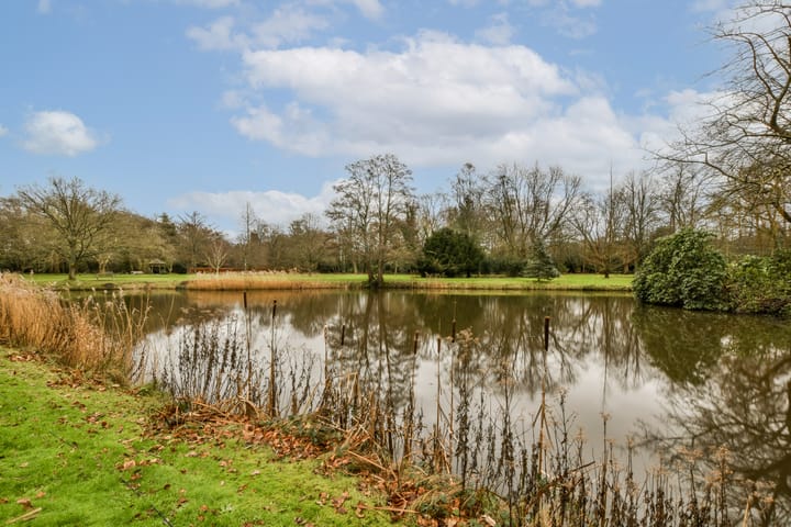 Foto 18 van Stoeplaan 11-F40