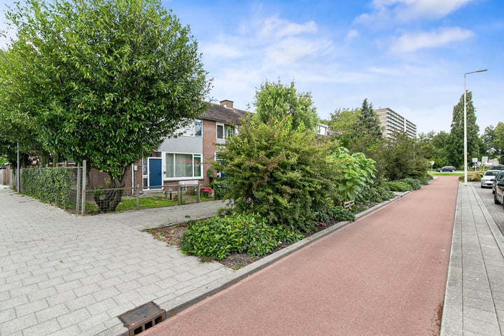 Bekijk foto 49 van Nieuwe Ommoordseweg 13