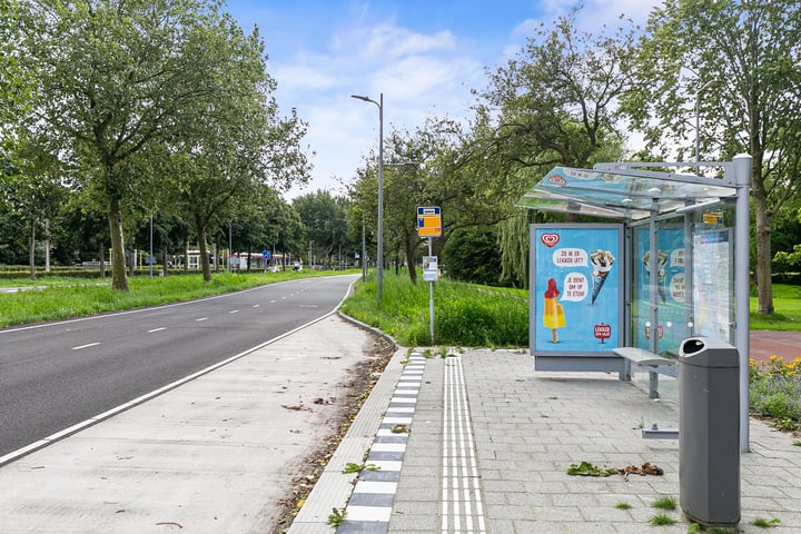 Bekijk foto 51 van Nieuwe Ommoordseweg 13