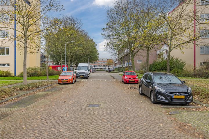 Bekijk foto 39 van Dr. W. Dreesstraat 133