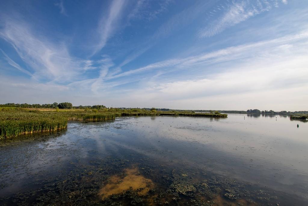 Foto 9 van Elfenbank 45