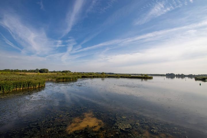 Foto 9 van Elfenbank 45