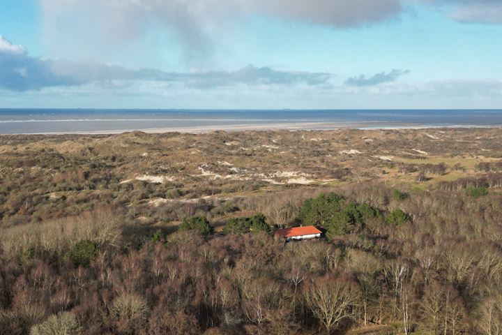 Bekijk foto 45 van Duindoornweg 1