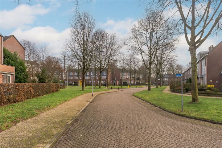 Bekijk foto 37 van Salamandersloot 2