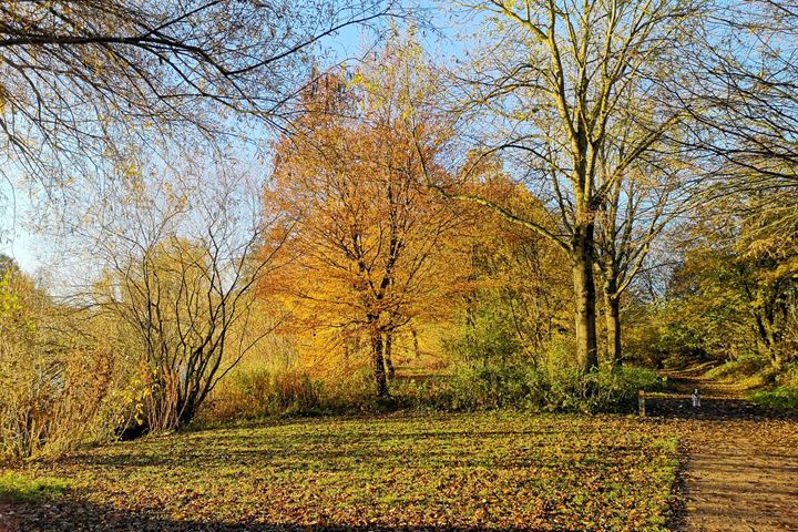 Bekijk foto 43 van Salamandersloot 2