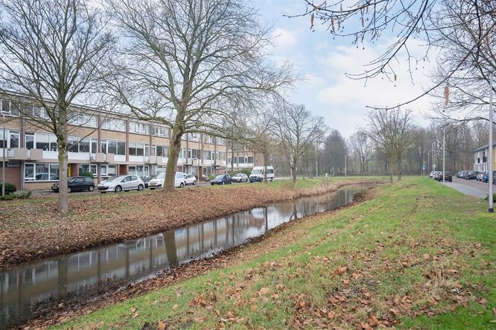 View photo 35 of Van Hallstraat 16