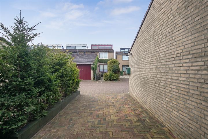 Bekijk foto 43 van Zenegroen 37