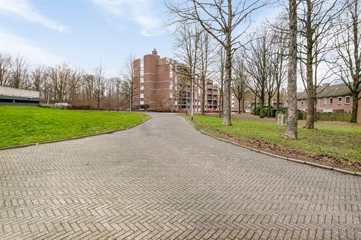 Bekijk foto 25 van Drieoortsput 42