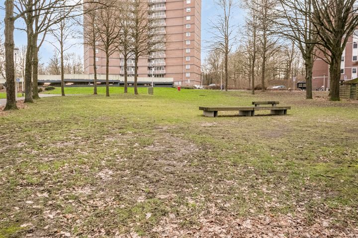 View photo 26 of Drieoortsput 42