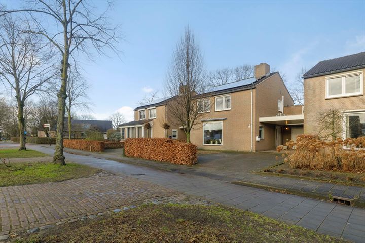 Bekijk foto 54 van 't Dorp 162