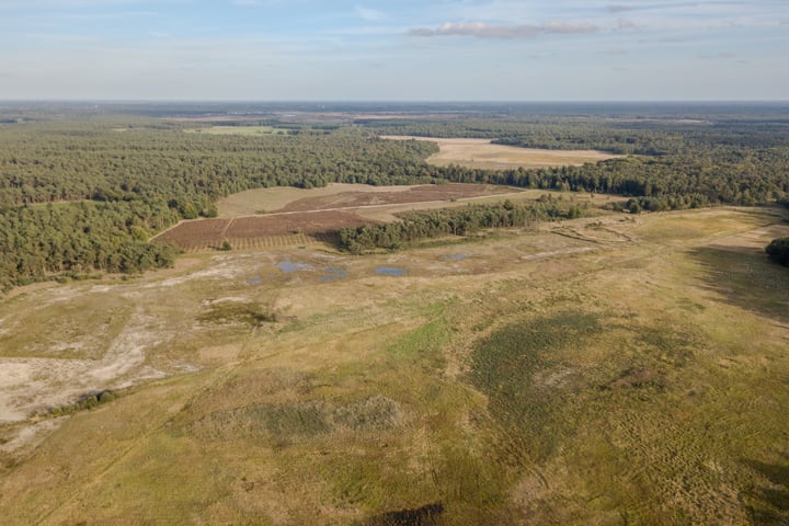 Bekijk foto 5 van Abdijlaan 39