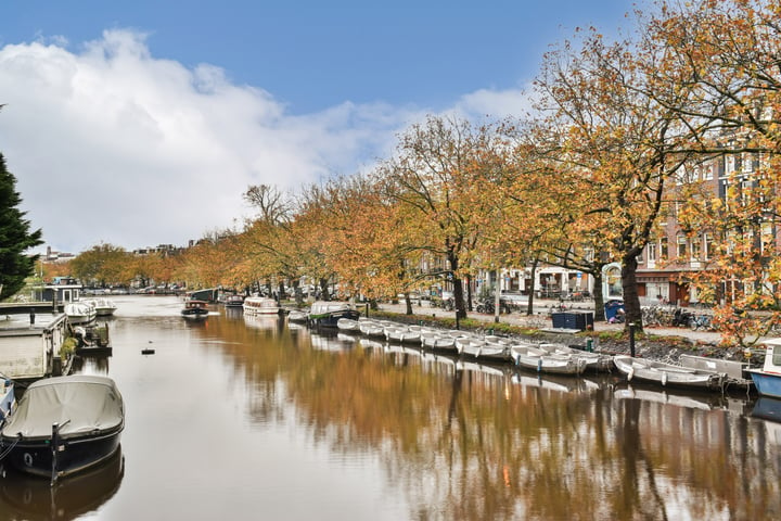 Bekijk foto 45 van Rozengracht 243-HS