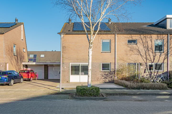 Foto 4 van Saffierstoep 6