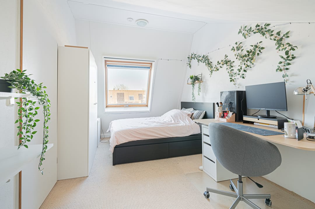 Foto 28 van Saffierstoep 6