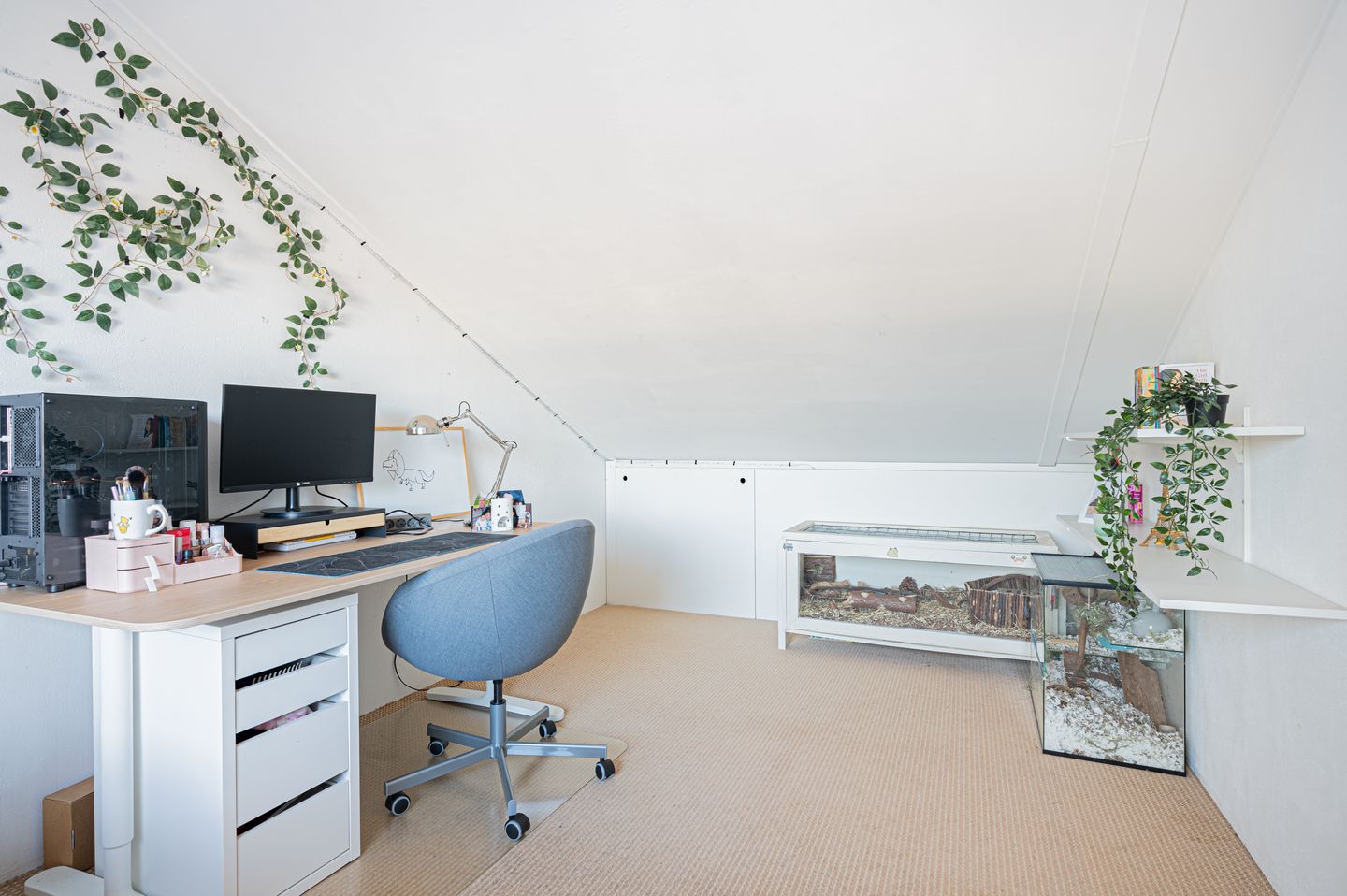 Foto 29 van Saffierstoep 6