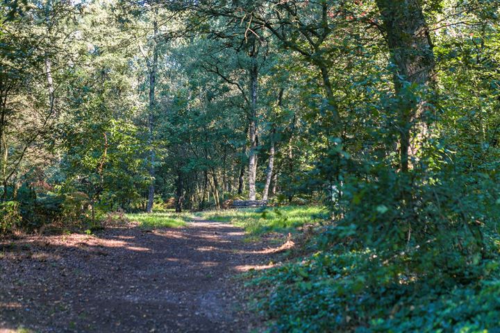 Bekijk foto 25 van Koningsberg 28