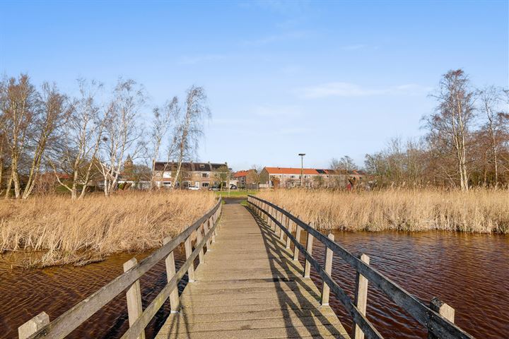 Bekijk foto 15 van Marijkestraat 25