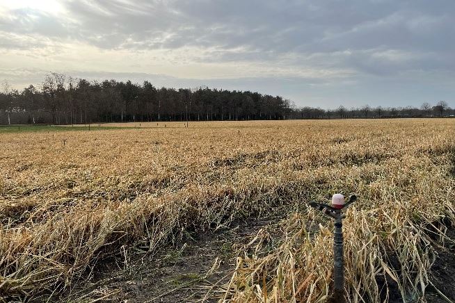 Bekijk foto 4 van Zundertseweg