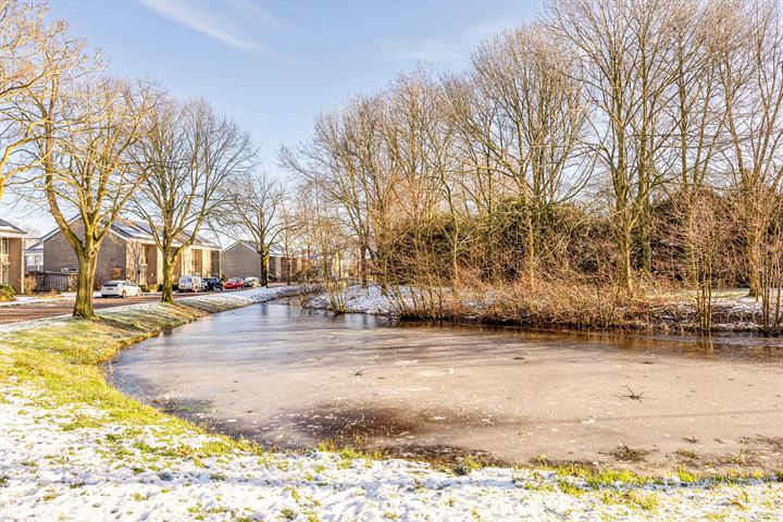 Bekijk foto 41 van Van Oldenbarneveltstraat 52