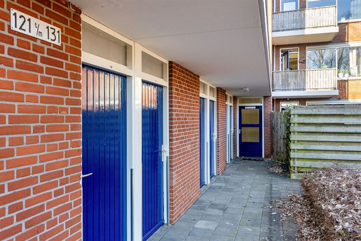 Bekijk foto 17 van Treubstraat 125