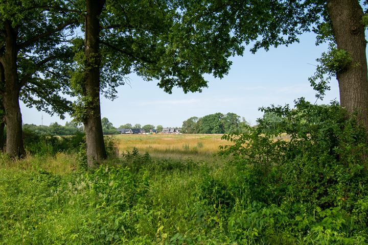 Bekijk foto 14 van Dalmedenweg 14