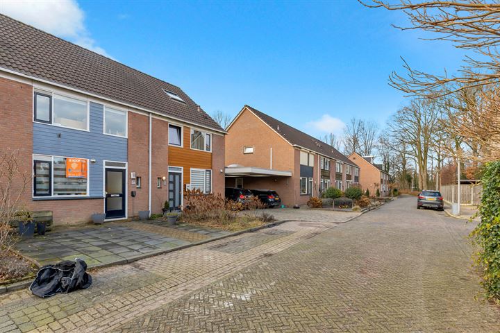 Bekijk foto 41 van Haydnstraat 54