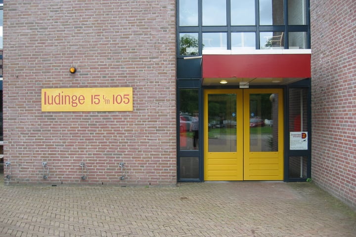 Bekijk foto 18 van Ludinge 71