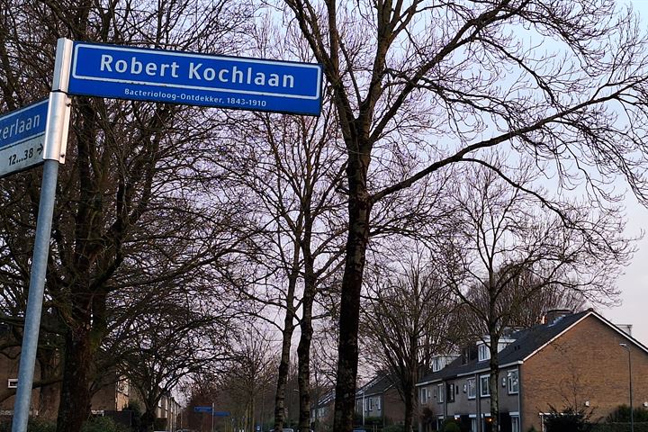 Bekijk foto 49 van Robert Kochlaan 17