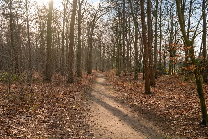 Bekijk foto 35 van Henrica van Erpweg 33