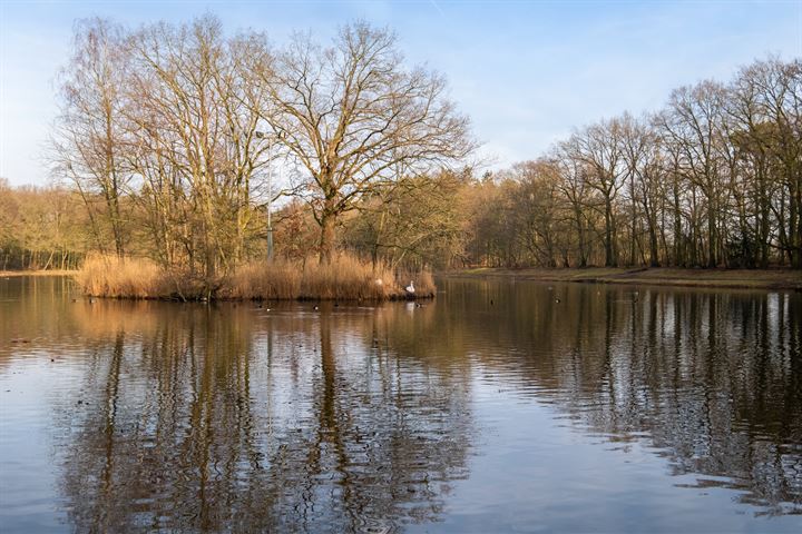 Bekijk foto 37 van Henrica van Erpweg 33