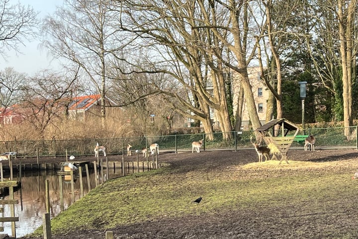 Bekijk foto 31 van Bisschop Koenraadstraat 27