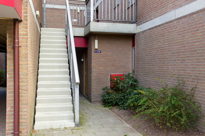 Bekijk foto 9 van Steendijk 89