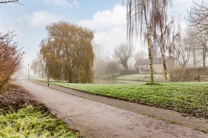 Bekijk foto 37 van Langevelderslag 42