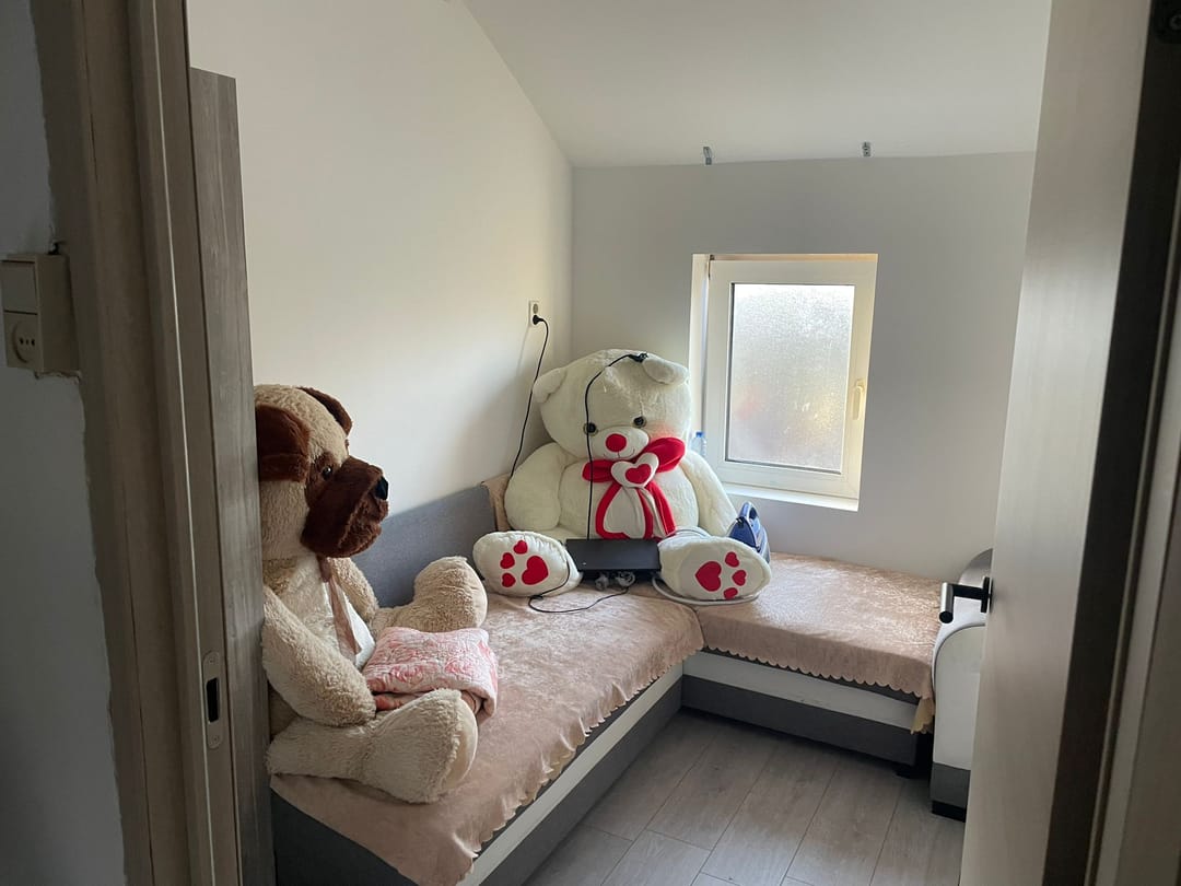 Foto 17 van Bosjesweg 53