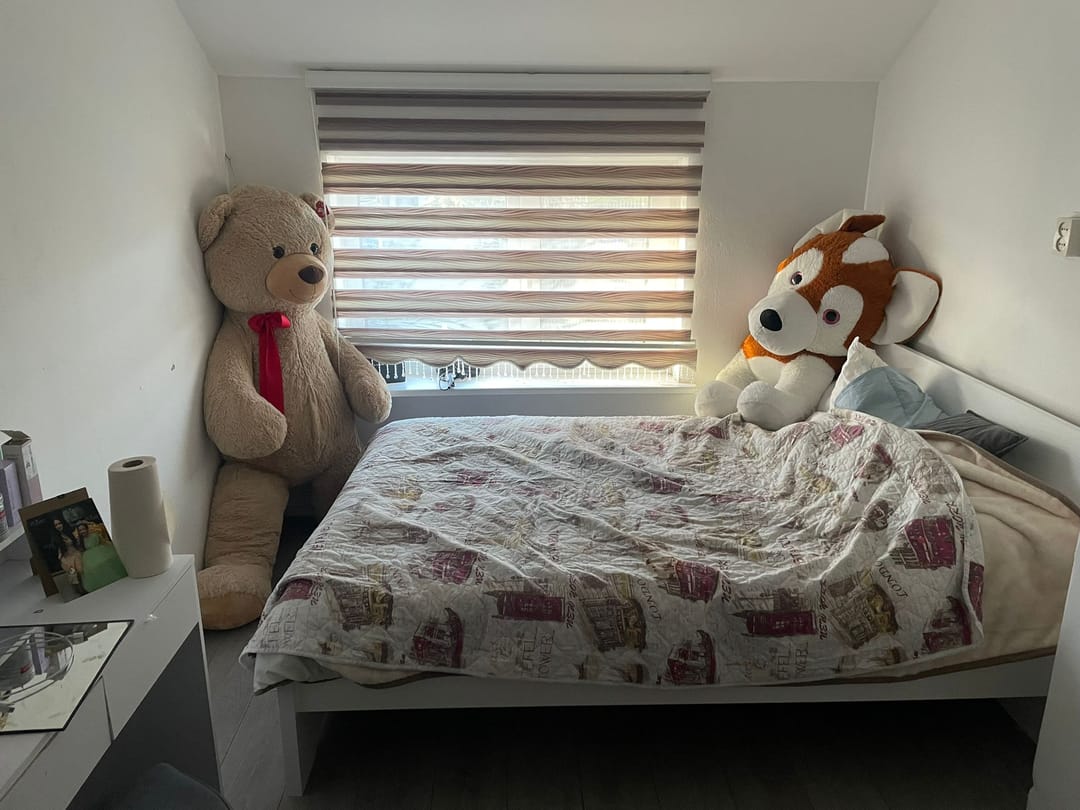 Foto 16 van Bosjesweg 53