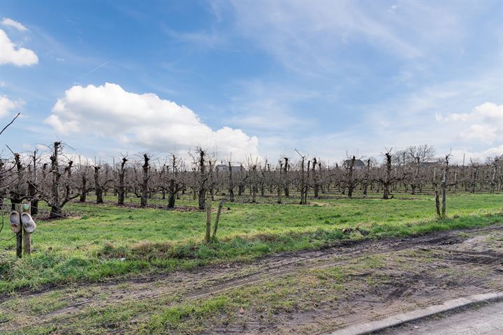 Bekijk foto 61 van Veesser Enkweg 31-A