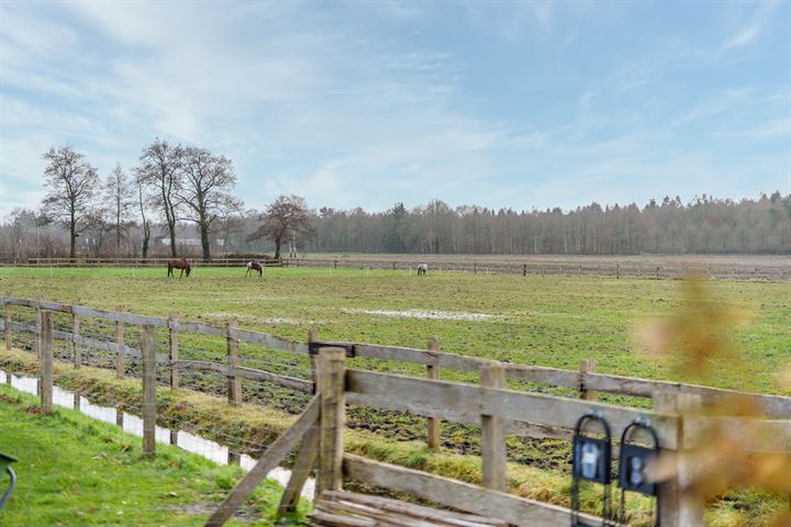 Bekijk foto 23 van Rheezerveenseweg 12