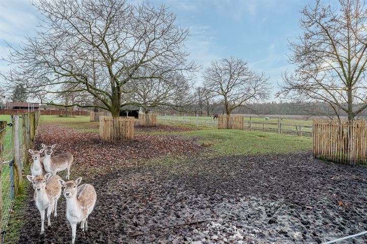 Bekijk foto 122 van Rheezerveenseweg 12