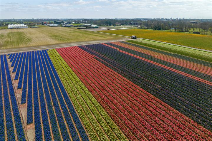 Bekijk foto 3 van Het Laantje 7