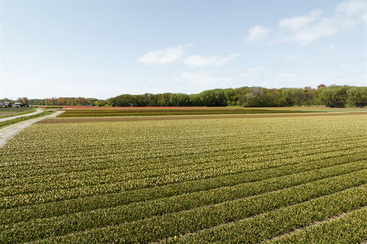 Bekijk foto 9 van Het Laantje 7