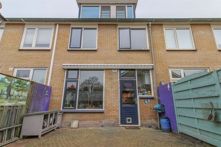 Bekijk foto 2 van Roerdompstraat 29