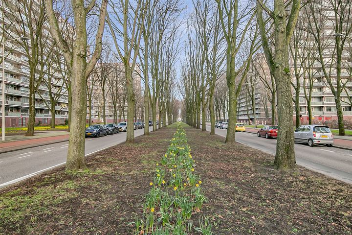 Bekijk foto 25 van Nieuwendamlaan 160